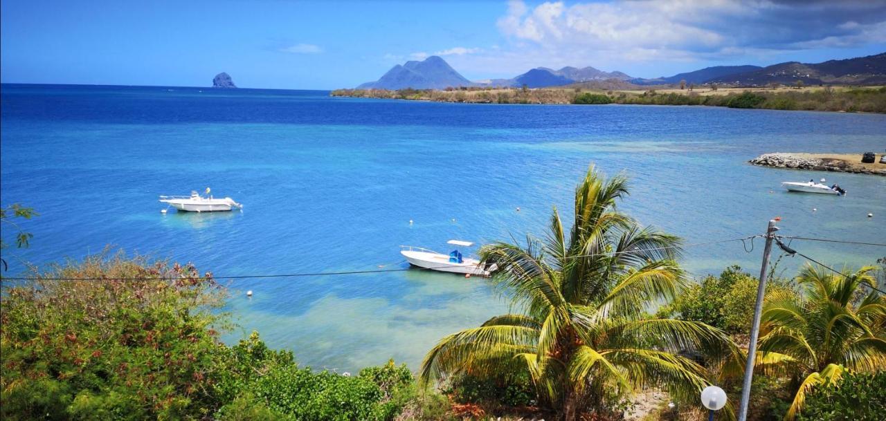 T2 Les Pieds Dans L'Eau Face A La Mer Des Caraibes Sainte Luce - Trois Rivieres Ngoại thất bức ảnh