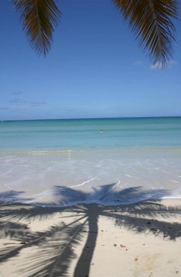 T2 Les Pieds Dans L'Eau Face A La Mer Des Caraibes Sainte Luce - Trois Rivieres Ngoại thất bức ảnh