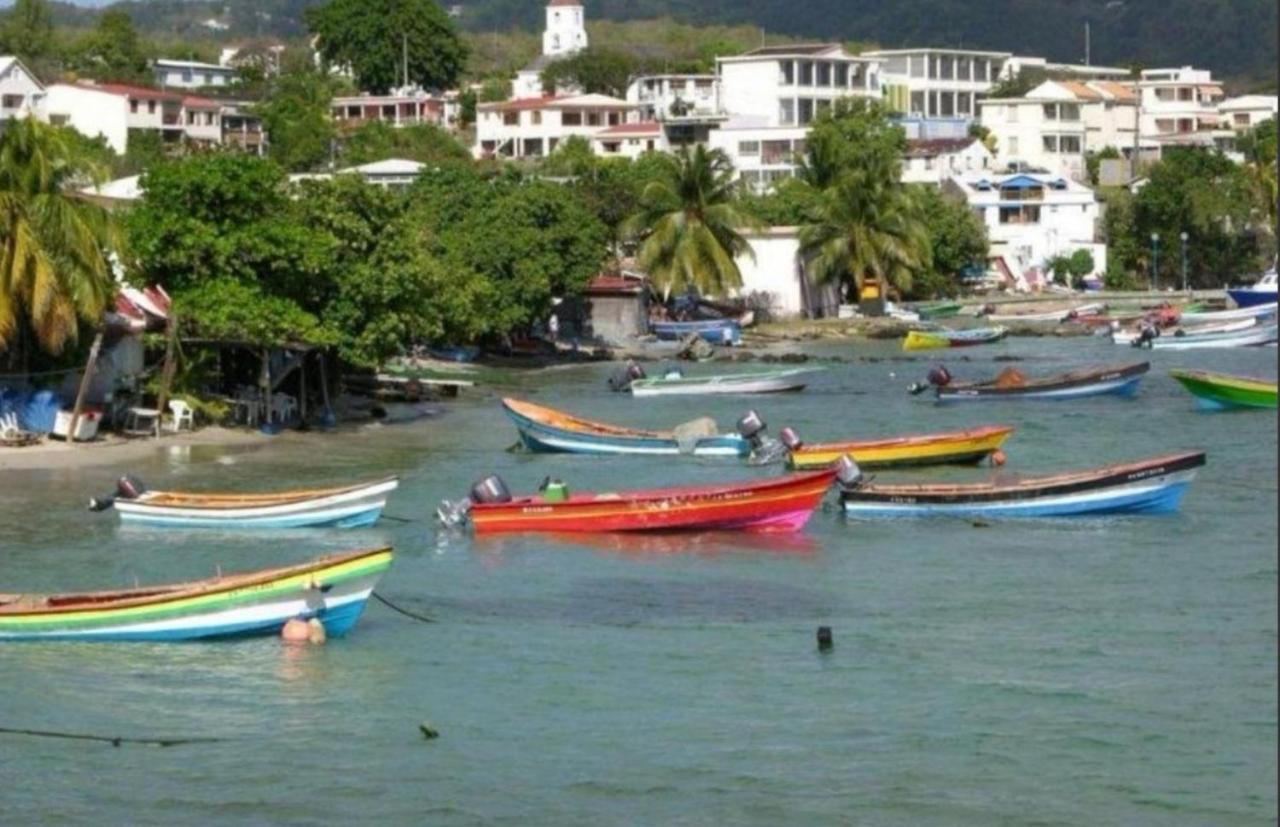 T2 Les Pieds Dans L'Eau Face A La Mer Des Caraibes Sainte Luce - Trois Rivieres Ngoại thất bức ảnh