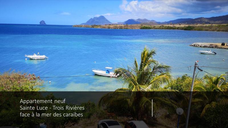 T2 Les Pieds Dans L'Eau Face A La Mer Des Caraibes Sainte Luce - Trois Rivieres Ngoại thất bức ảnh